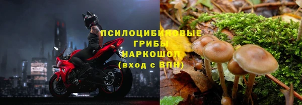соль ск Алзамай